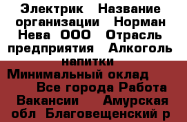 Электрик › Название организации ­ Норман-Нева, ООО › Отрасль предприятия ­ Алкоголь, напитки › Минимальный оклад ­ 35 000 - Все города Работа » Вакансии   . Амурская обл.,Благовещенский р-н